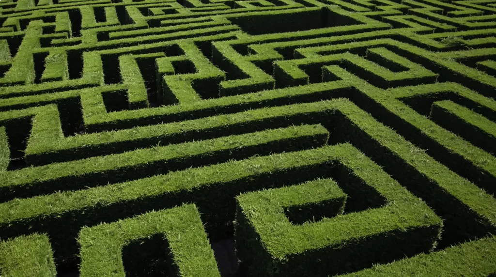 A maze formed from green hedges